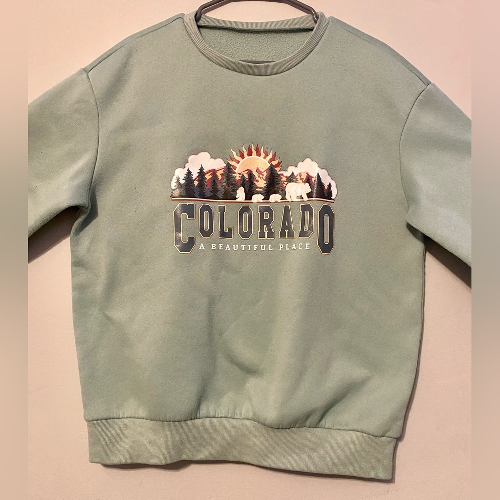 Shein mint long sleeve crewneck